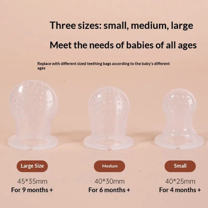 Bear Design Baby Fruit Feeder & Teether | Pack of 2 | Anti-Choking